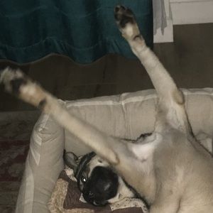 Meet your Posher, Mike